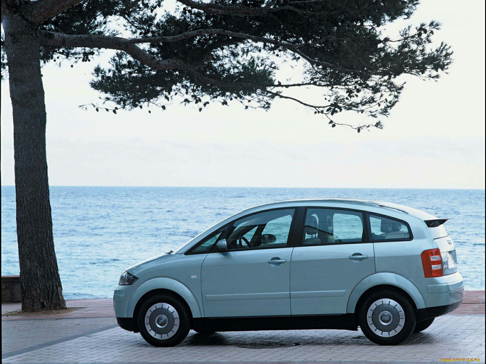 , audi
